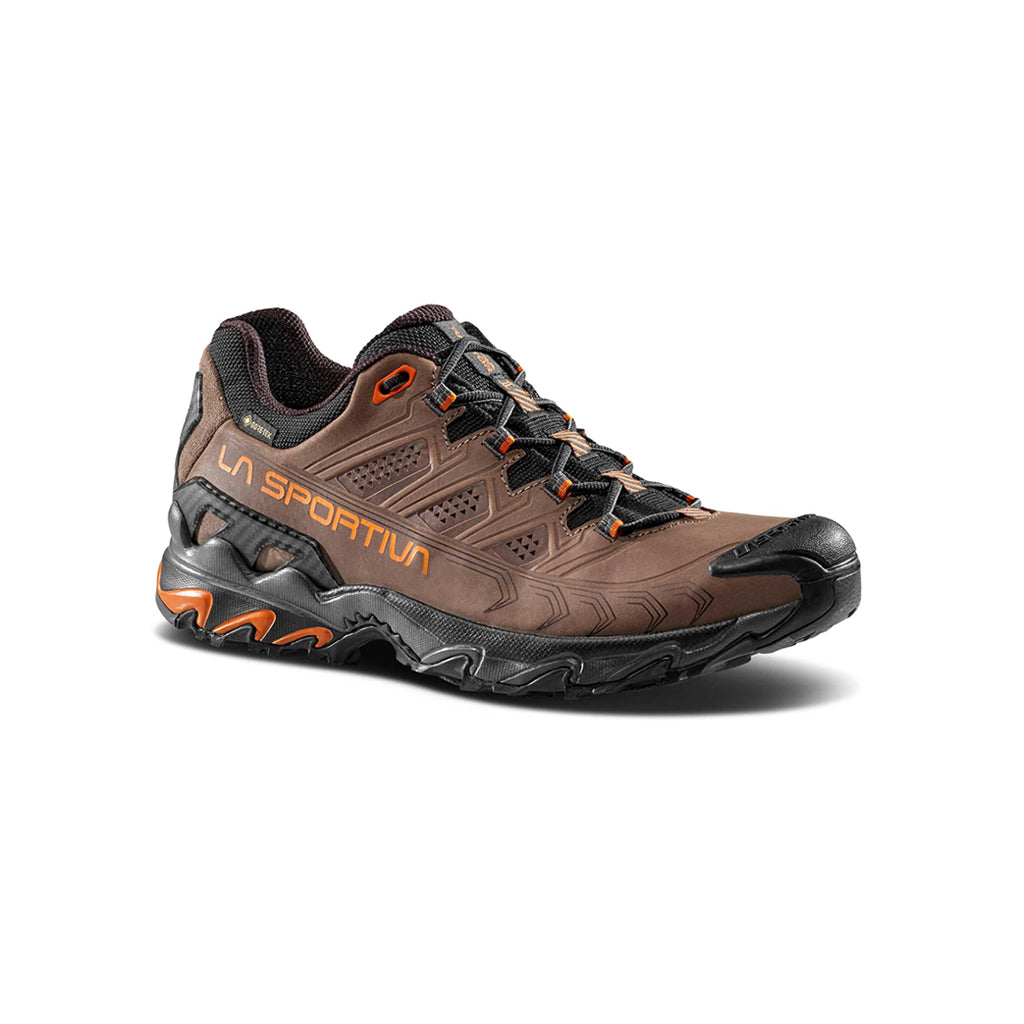 Ultra Raptor II Leather GTX